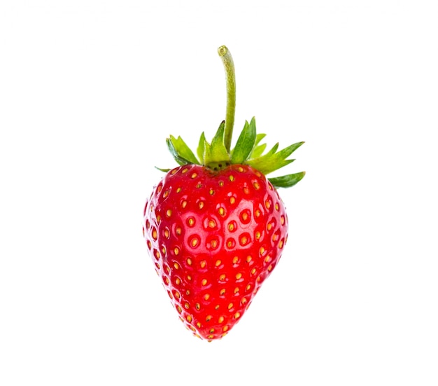 strawberry-isolated-white-background_1232-1974.jpg