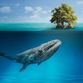 صورة حوت