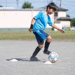 صور كرة الطائرة