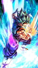 صور دراغون بول سوبر