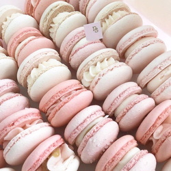 صور ماكارون