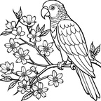 صور للتلوين كبار