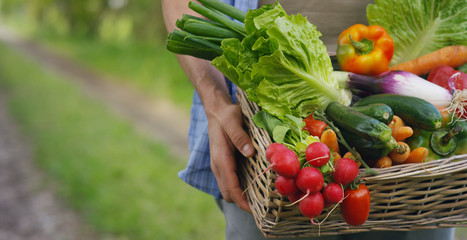 صورة خضار
