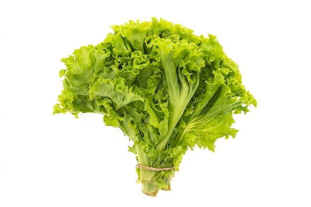 white-vegetable-healthy-fresh-natural_1203-5946.jpg